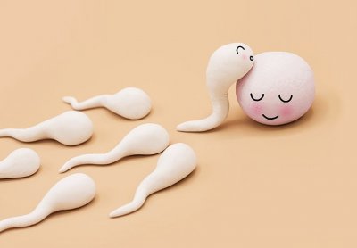 https://www.kricom.id/gambar/berita/2018/12/ciri-ciri-sperma-sehat-51484-400x286.jpg